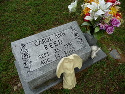 Carol Ann <I>Madding</I> Reed 