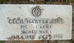 Cecil Harvey Blue 
