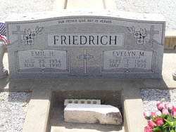 Emil Henry Friedrich 