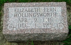 Elizabeth Fern Hollingsworth 