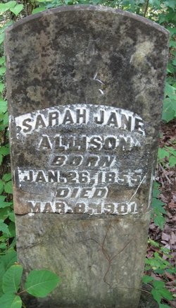 Sarah Jane Allison 