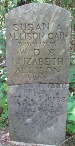 Susan A. <I>Allison</I> Cain 