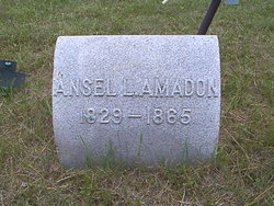Ansel Lyman Amadon 