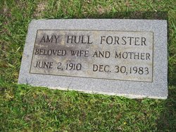 Amy <I>Hull</I> Forster 