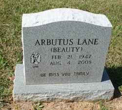 Arbutus “Beauty” Lane 