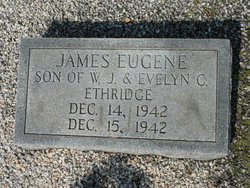 James Eugene Ethridge 