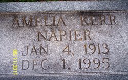 Amelia <I>Kerr</I> Napier 