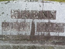 Joyce K Higgins 