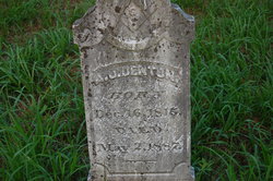 Andrew Jackson Denton 