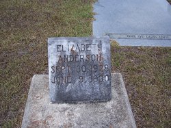 Elizabeth Ann Anderson 