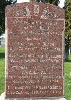Pte Walter Frederick Dicks 