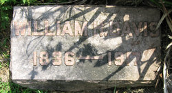 William H Davis 