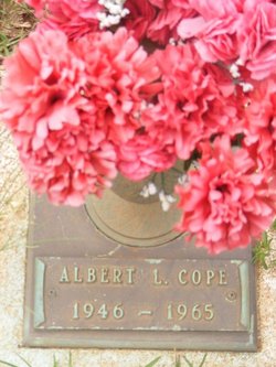 Albert Lee Cope 