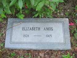 Elizabeth <I>Amos</I> Amos 