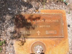 Azalea <I>Reach</I> Fischer 