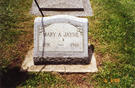 Mary Ann Jayne 