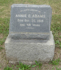 Annie C. Adams 