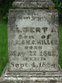 Albert Miller 