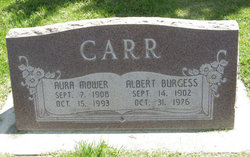 Albert Burgess Carr 