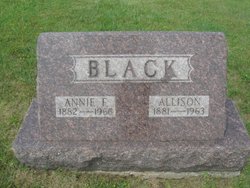 Annie Forbes <I>Cook</I> Black 