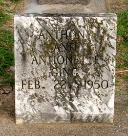 Anthony Ging 