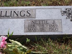 Nettie Jane <I>Barnett</I> Billings 