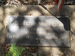 Forrest Nelson Anderson 