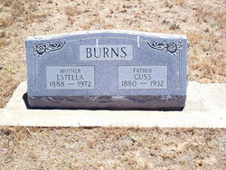 Walter Augustus Burns 