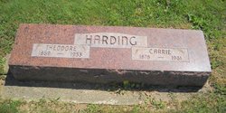 Theodore Harding 