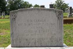 Climelia <I>Lesley</I> Carman 