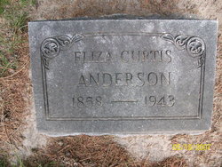 Eliza Ann Turner <I>Curtis</I> Anderson 