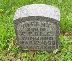 Infant Wingard 