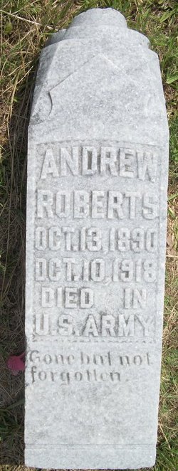 Andrew Roberts 