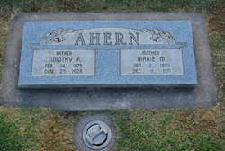 Timothy P. Ahern 