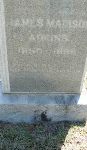 James Madison Adkins 