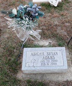 Abigail Susan Adams 
