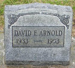 David Eugene Arnold 
