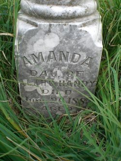 Amanda Handy 