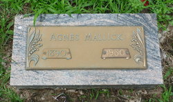 Agnes Mallick 