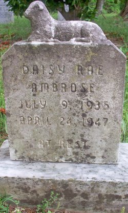 Daisy Rae Ambrose 