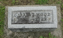Carrie Ellen <I>Works</I> Wood 
