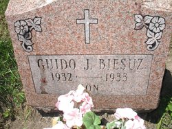 Guido J Biesuz 