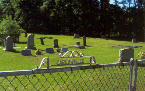 Carlowville Community Cemetery