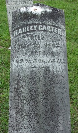 Harley Carter 