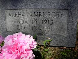 Alpha Amburgey 