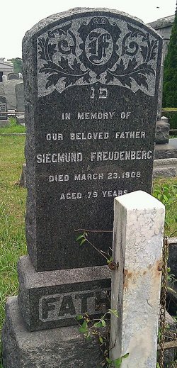 Siegmund Freudenberg 