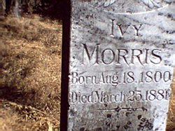 Ivy Morris 