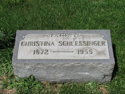 Christina D Schlessinger 
