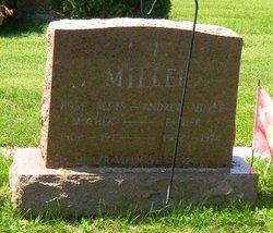 Rose <I>Peets</I> Miller 