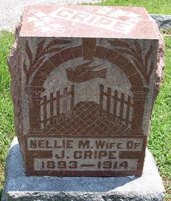 Nellie Mary <I>Hanley</I> Cripe 